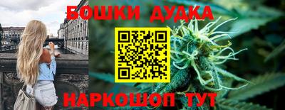 стаф Сланцы