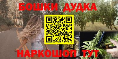 стаф Сланцы
