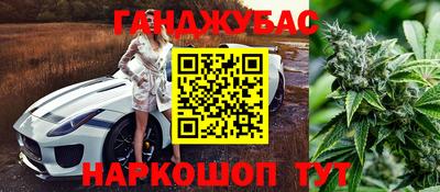 стаф Сланцы